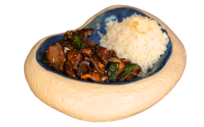 BULGOGİ